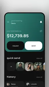 Mint Wallet Loan Advise screenshot 2