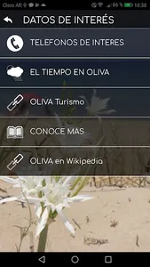 OLIVA Guía de Comercios y Serv screenshot 4