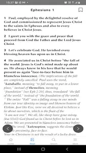 Mirror Study Bible screenshot 1