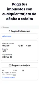Declaraciones SAT - RESICO screenshot 5