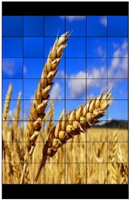 Пазли Українською Photo Puzzle screenshot 1