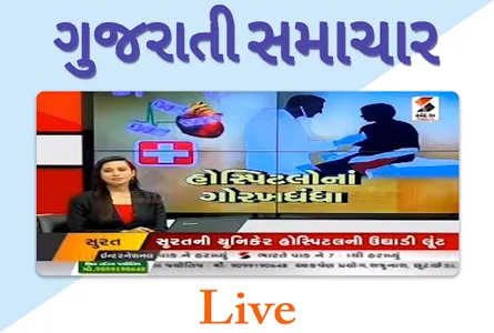 Gujarati News Live screenshot 3