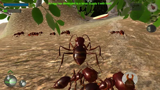 Ant Simulation 3D - Insect Sur screenshot 1