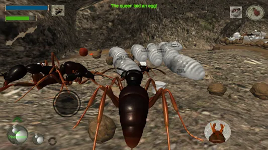 Ant Simulation 3D - Insect Sur screenshot 2