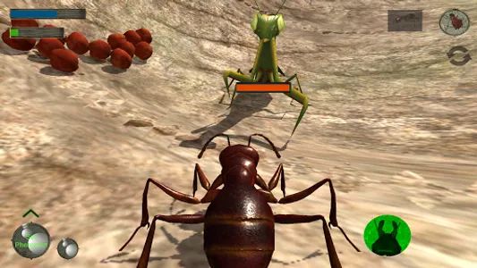 Ant Simulation 3D - Insect Sur screenshot 7