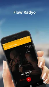 Flow Radyo screenshot 1