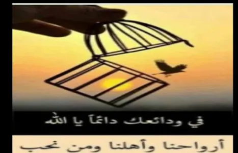 خلفيات اسلامية screenshot 11