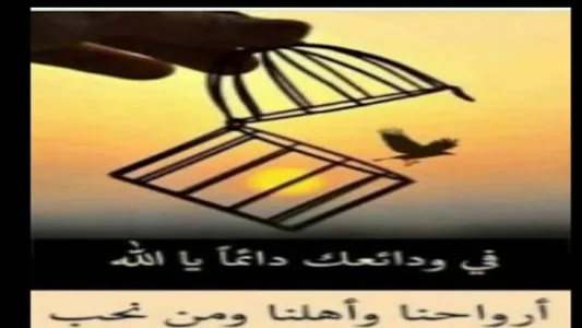 خلفيات اسلامية screenshot 18