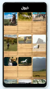 خيول screenshot 0