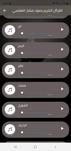 AlQuran Alkarim - Mshari screenshot 2