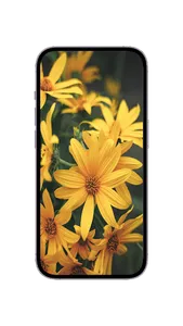 WildFlower Seeds : Wildflower screenshot 2