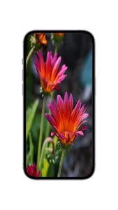 WildFlower Seeds : Wildflower screenshot 3