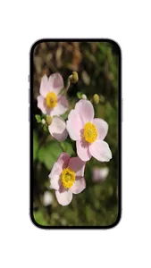 WildFlower Seeds : Wildflower screenshot 4