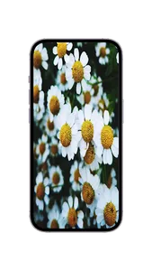 WildFlower Seeds : Wildflower screenshot 5