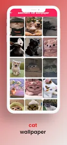 cat wallpaper screenshot 0