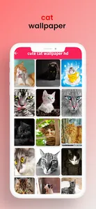 cat wallpaper screenshot 1