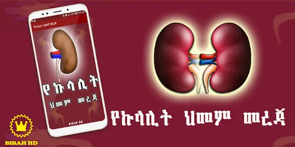 Amharic Kidney Disease screenshot 0