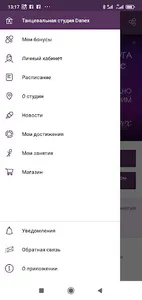 Студия танцев и фитнеса Danex screenshot 2