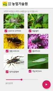 귀뚜라미 소리 : 전라남도 농업기술원 screenshot 0
