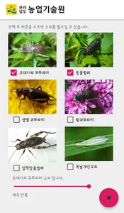 귀뚜라미 소리 : 전라남도 농업기술원 screenshot 1