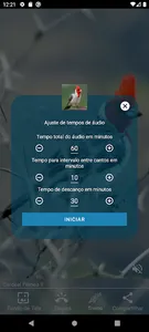 Cardeal e Galo de Campina screenshot 19