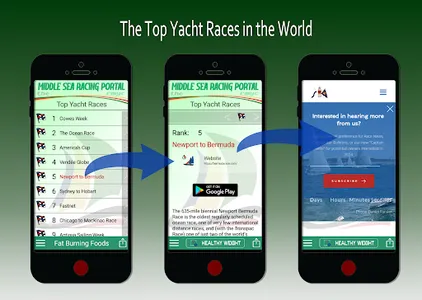 Middle Sea Racing Portal screenshot 7