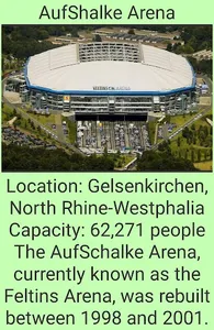 Big Stadiums Germany screenshot 3