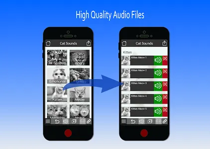 Cat Sounds and Video Portal screenshot 1