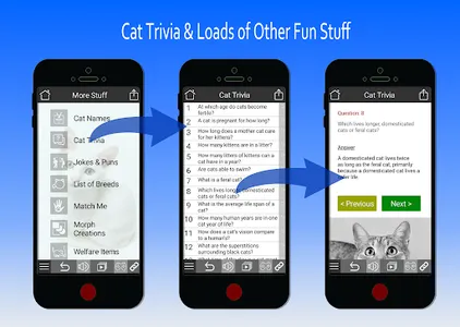 Cat Sounds and Video Portal screenshot 3