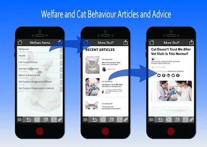 Cat Sounds and Video Portal screenshot 4