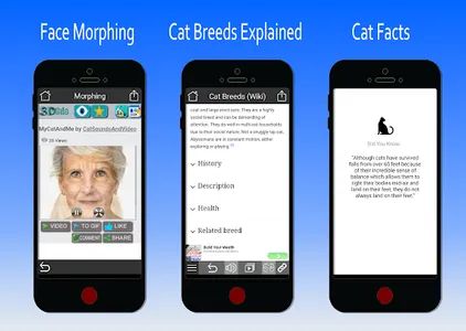 Cat Sounds and Video Portal screenshot 5