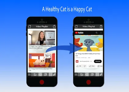 Cat Sounds and Video Portal screenshot 6
