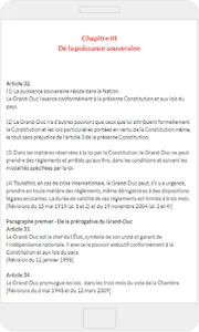 Constitution du Luxembourg screenshot 3
