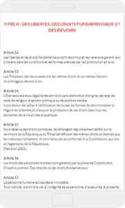 Constitution tchadienne de 199 screenshot 2