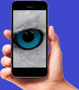 ANIMAL EYES screenshot 0