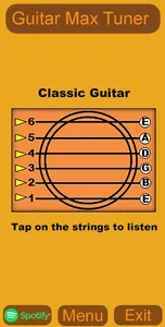 Guitar Max Tuner screenshot 12