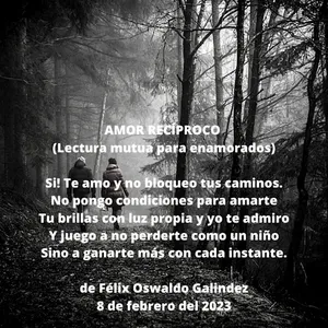 POEMAS ESPIRITUALES screenshot 8