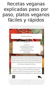 Vegan Recipes screenshot 2