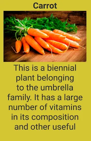 Root vegetables screenshot 0