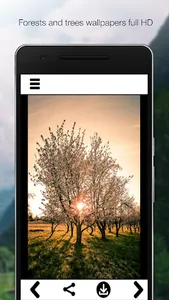 Nature Wallpapers HD screenshot 3