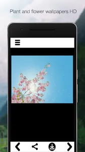 Nature Wallpapers HD screenshot 6