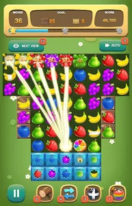 Fruits Match King screenshot 12