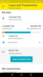 Mobisol screenshot 1