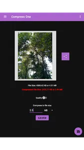 QReduce Multi: Crop & Compress screenshot 10