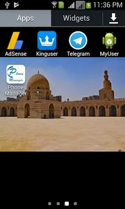 Beautiful Mosque LWP screenshot 0