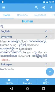 Myanmar Dictionary screenshot 2