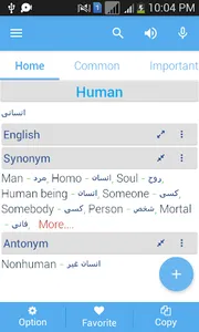 Persian Dictionary Multifuncti screenshot 2