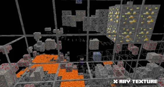 X-Ray Texture Pack for MCPE screenshot 3