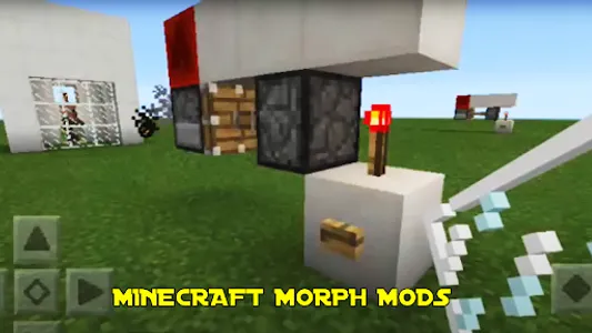 Minecraft Morph Mod screenshot 1