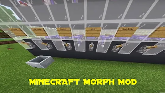 Minecraft Morph Mod screenshot 3